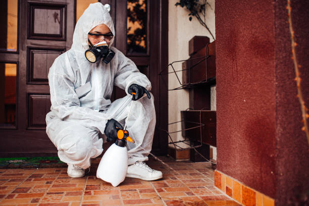 Reliable Ant Control contractor in Harrisville, RI by Nex Pest Control