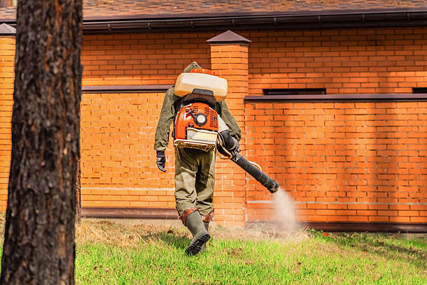 Trusted Emergency Pest Control service in Harrisville, RI - Nex Pest Control